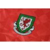 Wales 1990/92 Home Retro Jersey - Image 6