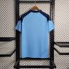 Gremio 2023/24 Pre-Match Training Jersey Blue - Image 5