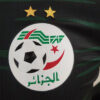 Algeria 2022 Third Player Version Jersey - Image 3