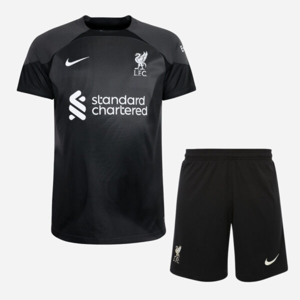 Liverpool 2022-23 Away Goalkeeper Adult Jersey And Short Kit