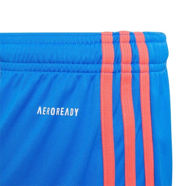 Manchester United 2021/22 Away Shorts - Image 5
