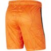 Netherlands 2021 Home Shorts - Image 2