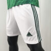 Northern Ireland 2020 Home Shorts - Image 4