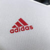 Olympique Lyonnais 2022/23 Pre-Match Player Version Jersey - Image 8
