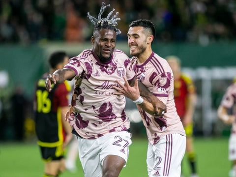 Modern Portland Timbers home kit design